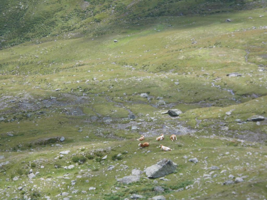 Obergarberhof Leilighet Sillian Rom bilde